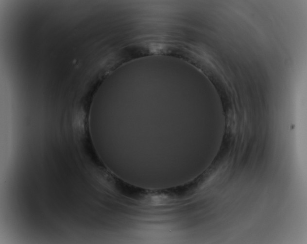 X0000093130650200710031352