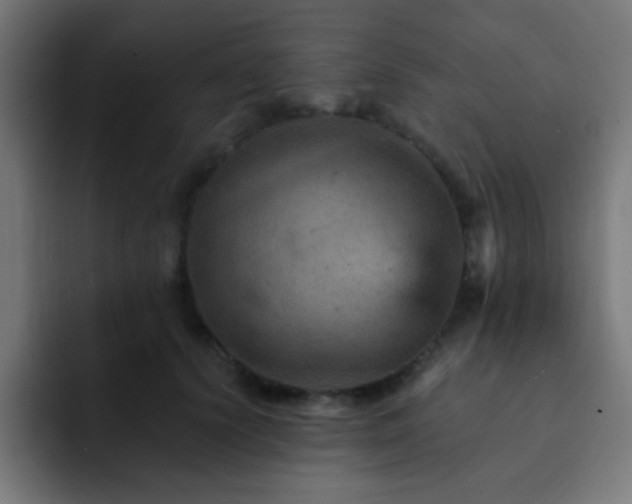 X0000093130656200710031352