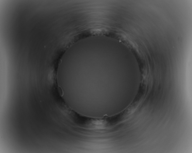 X0000093130659200710031353
