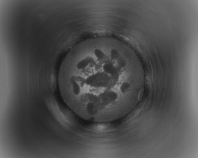 X0000093130662200710031353