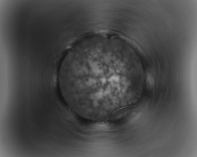 X0000093130668200710031353