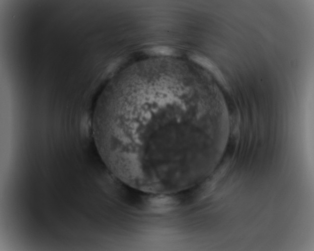 X0000093130669200710031353