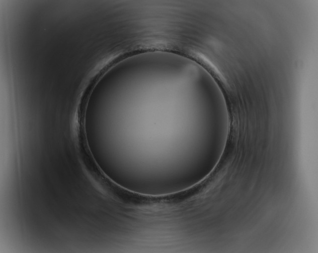 X0000093130674200710031352