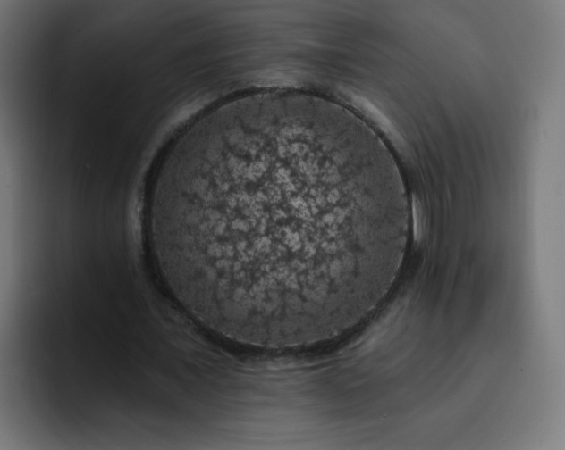 X0000093130675200710031352