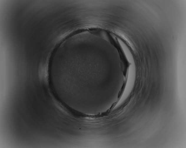 X0000093130677200710031352
