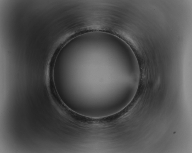 X0000093130678200710031352