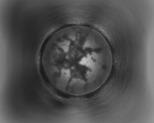 X0000093130679200710031352
