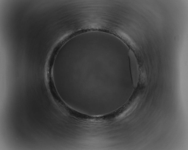 X0000093130680200710031352