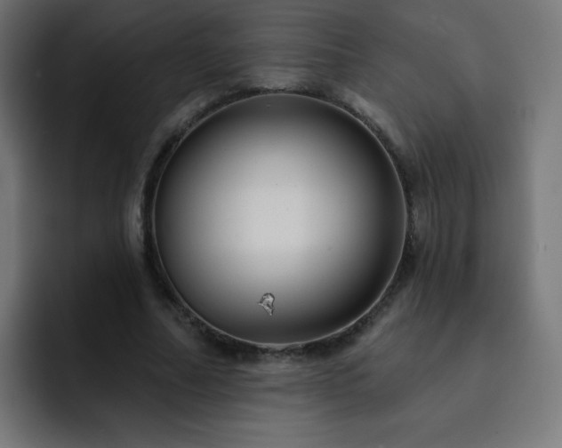 X0000093130682200710031352