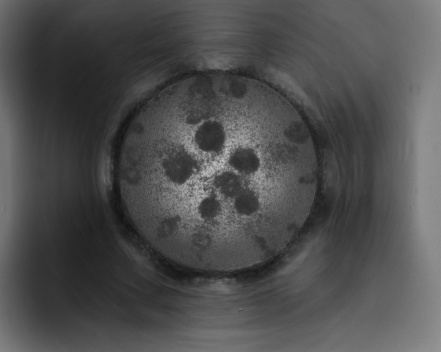 X0000093130683200710031352