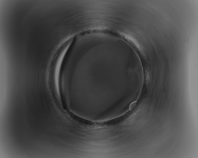X0000093130684200710031352