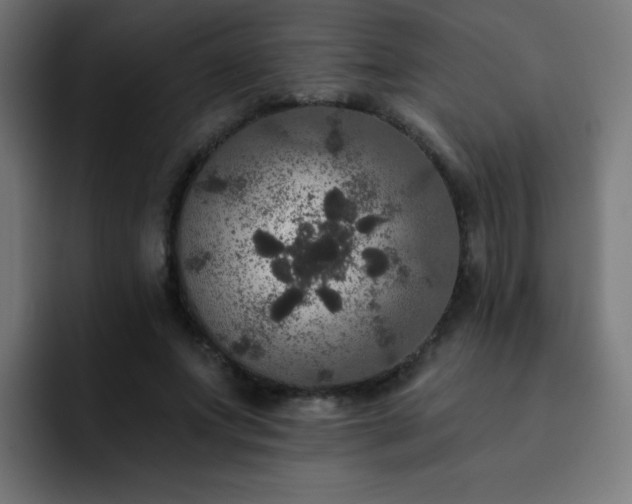 X0000093130687200710031352