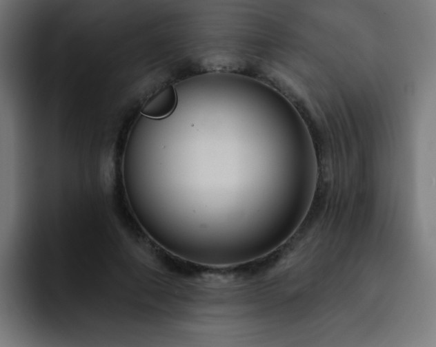 X0000093130690200710031352
