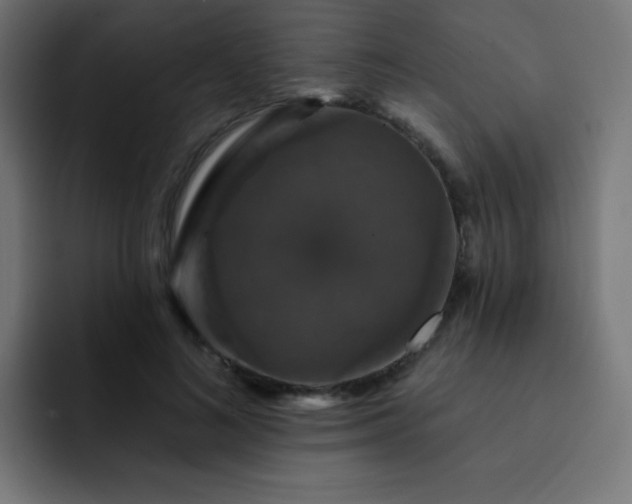 X0000093130692200710031352
