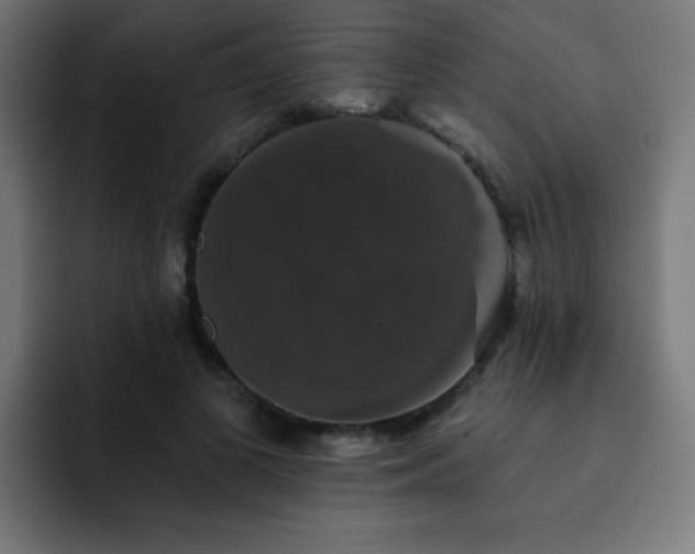 X0000093130693200710031352