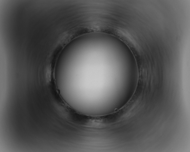 X0000093130694200710031352