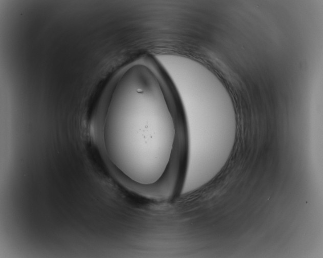 X0000093130696200710031352