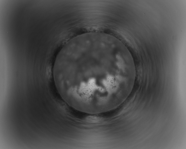 X0000093130699200710031352