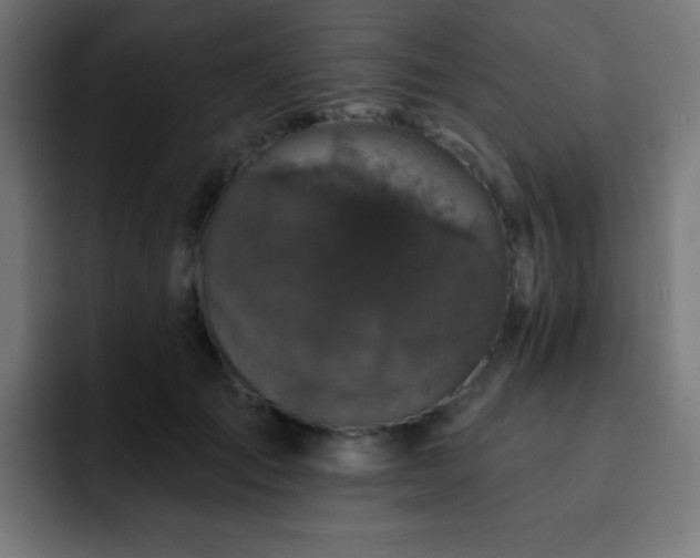 X0000093130701200710031352