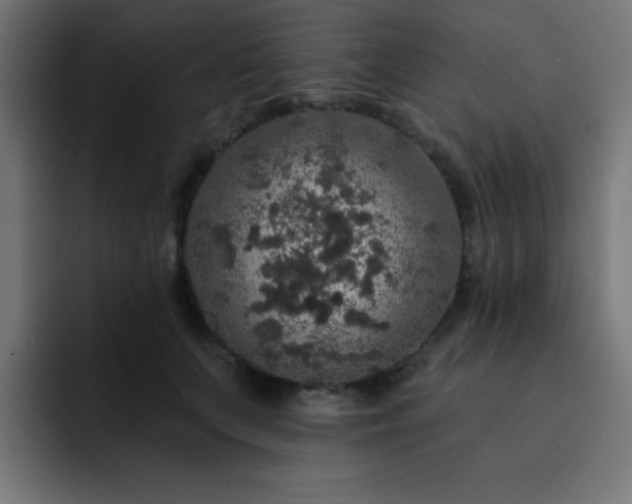 X0000093130703200710031352