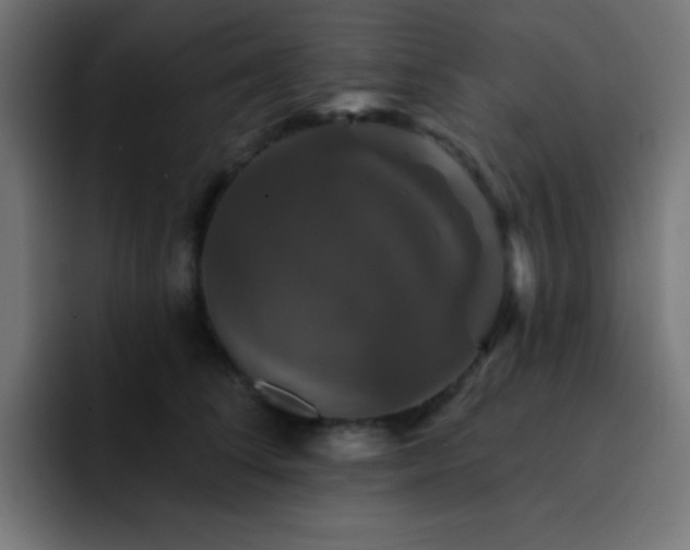 X0000093130708200710031352