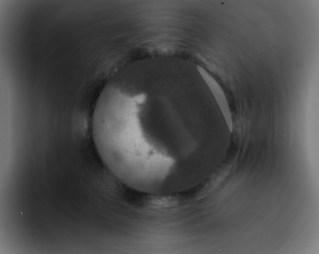 X0000093130709200710031352