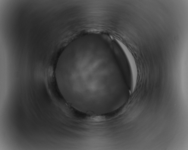 X0000093130711200710031352