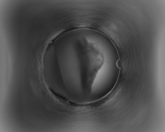 X0000093130721200710031351