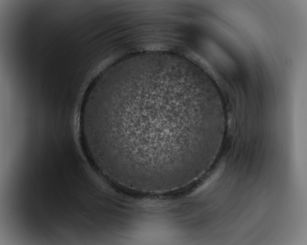 X0000093130725200710031351