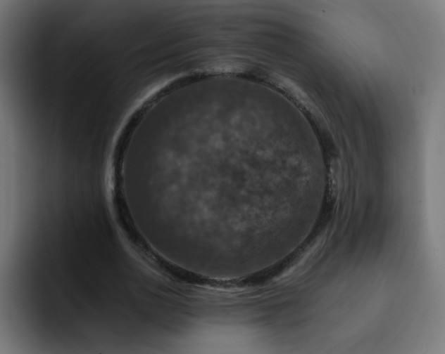 X0000093130726200710031351