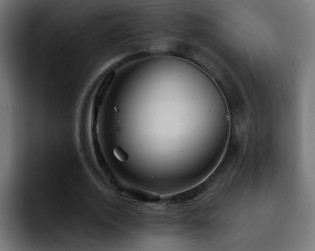 X0000093130728200710031351