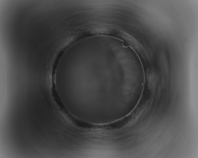 X0000093130729200710031351