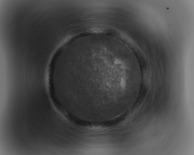 X0000093130730200710031351