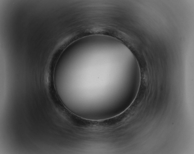 X0000093130732200710031351