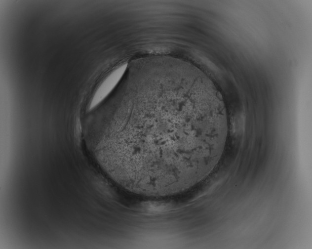 X0000093130733200710031351