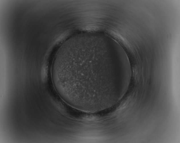 X0000093130735200710031351