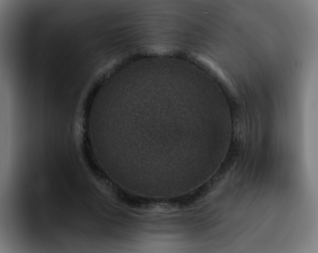 X0000093130736200710031351