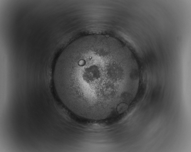 X0000093130737200710031351