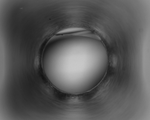 X0000093130740200710031351