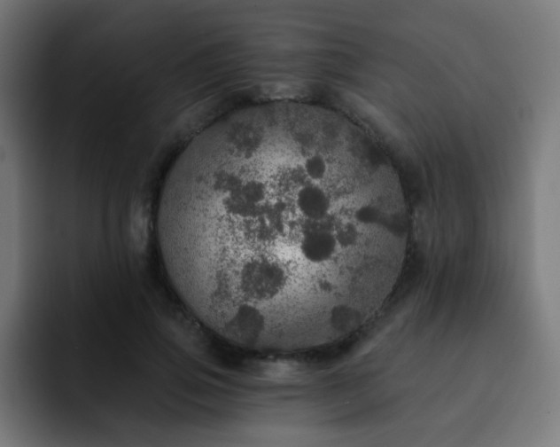 X0000093130741200710031351