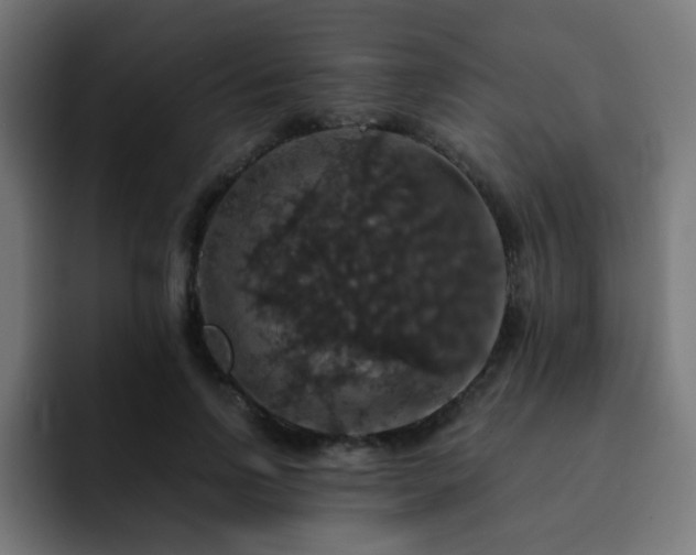 X0000093130742200710031351