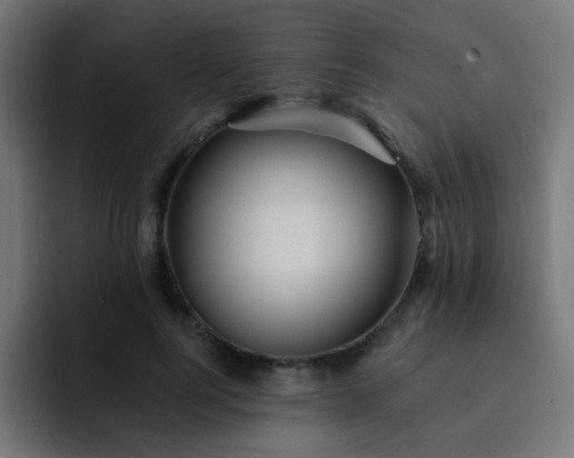 X0000093130744200710031351