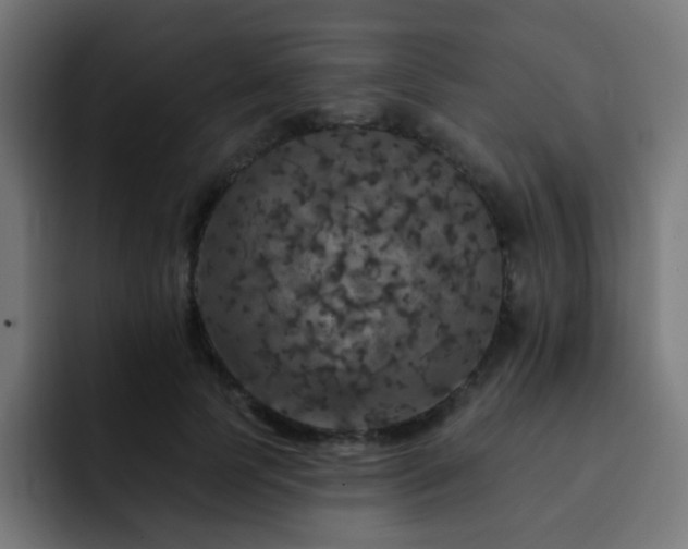 X0000093130745200710031351