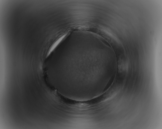 X0000093130748200710031351