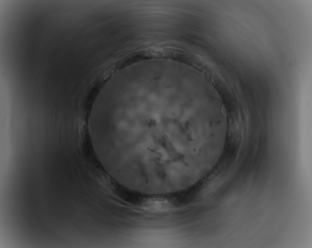 X0000093130749200710031351