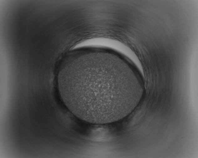 X0000093130750200710031351