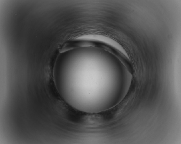 X0000093130752200710031351