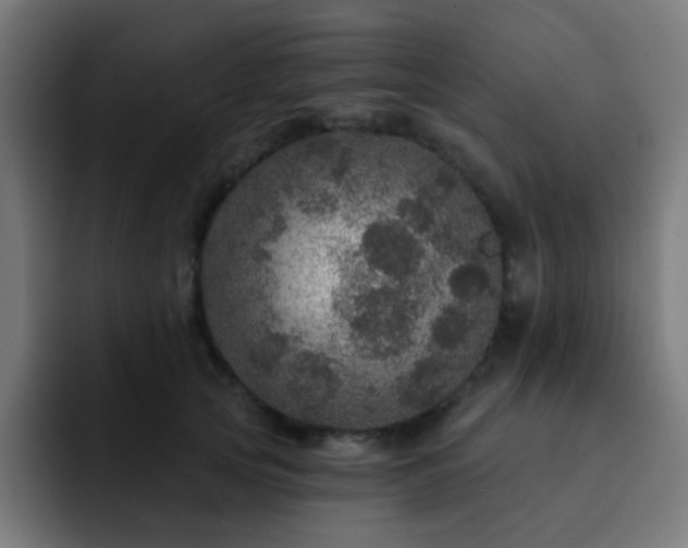 X0000093130753200710031351