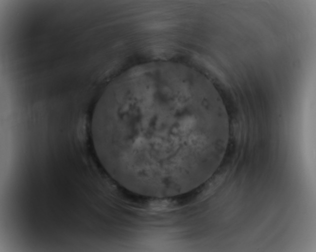 X0000093130757200710031351