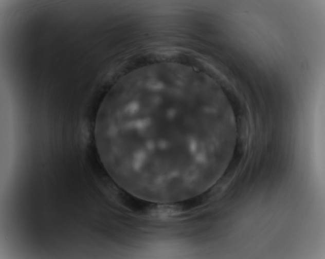 X0000093130758200710031351